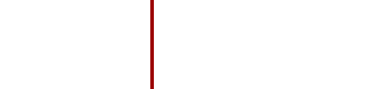 N17 Projects Logo